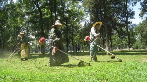 一級綠化養護標準人員配置以及工作細則有哪些 行業(yè)資訊